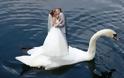 Ρώσοι νεόνυμφοι τερματίζουν τη γαμήλια φωτογραφία - Φωτογραφία 3