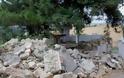Κεφαλονιά: Σεισμόπληκτο κηρύσσεται το νησί - Σε αυτοκίνητα, σκηνές και λεωφορεία των ΚΤΕΛ πέρασαν τη νύχτα - Φωτογραφία 2