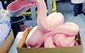 Τα McDonald's προσπαθούν να διαλύσουν το μύθο της... ροζ αηδίας - Καρέ-καρέ πώς φτιάχνονται τα Chicken McNuggets - Φωτογραφία 1