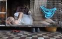Χονγκ Κονγκ: Τα απάνθρωπα κελιά των φτωχών [Photos]