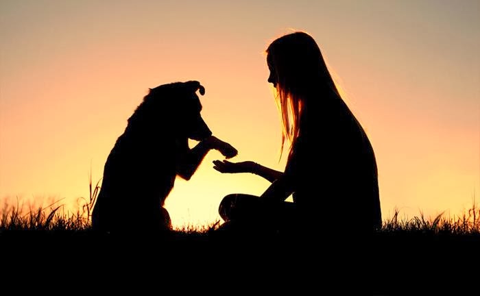 Οι 10 απίθανοι λόγοι που ο σκύλος κάνει τη ζωή μας καλύτερη! - Φωτογραφία 1