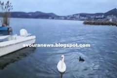 ΑΠΙΣΤΕΥΤΟ - ΚΑΣΤΟΡΙΑ: Φωτογράφισε την λίμνη και έπαθε ΣΟΚ με αυτό που αντίκρισε!