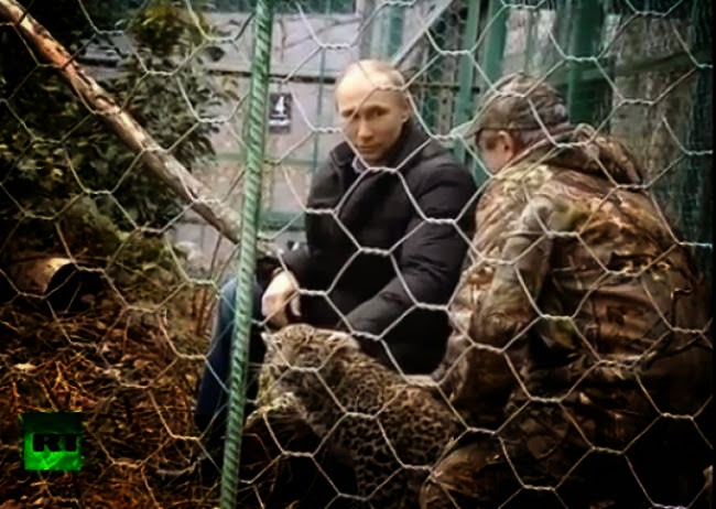 Σε κλουβί με λεοπαρδάλεις μπήκε ο Πούτιν (vid) - Φωτογραφία 1