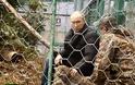 Σότσι: Ο Πούτιν και οι λεοπαρδάλεις [Εικόνες Βίντεο] - Φωτογραφία 5