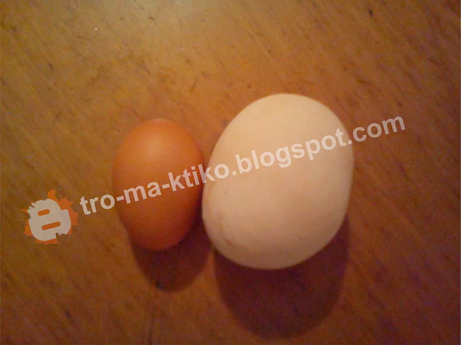 Ένα... τεράστιο αυγό κότας, μας έστειλε αναγνώστης από την Λευκάδια Νάουσας - Φωτογραφία 2