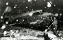 56 χρόνια από την αεροπορική τραγωδία που αφάνισε τη Μάντσεστερ Γιουνάιτεντ (ΦΩΤΟ - VIDEO)