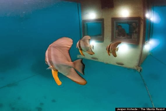 Manta Resort με υποβρύχιο δωμάτιο! [photos] - Φωτογραφία 3