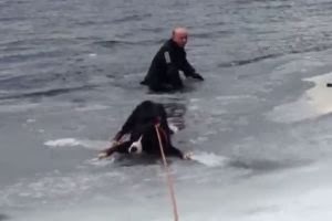 Άνδρας βούτηξε σε παγωμένη λίμνη για να σώσει τον σκύλο του [video] - Φωτογραφία 1