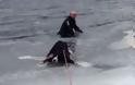 Άνδρας βούτηξε σε παγωμένη λίμνη για να σώσει τον σκύλο του [video]