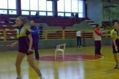 Περιφερειακό πρωτάθλημα Βadminton