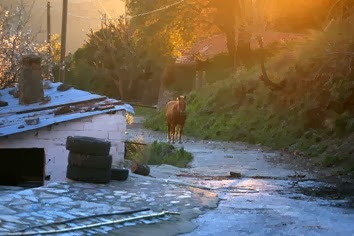 Δύσκολη, αλλά όμορφη η ζωή στα χωριά… - Φωτογραφία 3