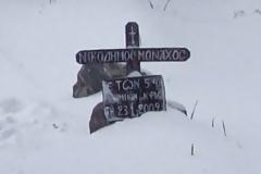 4282 - Εις μνήμην μοναχού Νικοδήμου Γρηγοριάτη