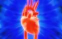 Τεχνητή βαλβίδα για την καρδιά εγκρίθηκε στις ΗΠΑ