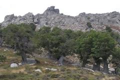 Έκκληση για τη σωτηρία της Όχης