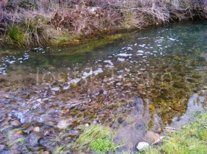 Τα ποτάμια που αφρίζουν και η αβάσταχτη ελαφρότητα της Δημοτικής Αρχής Αριστοτέλη [video] - Φωτογραφία 7