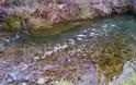 Τα ποτάμια που αφρίζουν και η αβάσταχτη ελαφρότητα της Δημοτικής Αρχής Αριστοτέλη [video] - Φωτογραφία 7