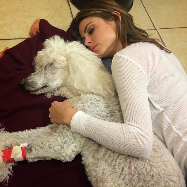 Δύσκολες ώρες για την Μαρία Μενούνος - Φωτογραφία 4