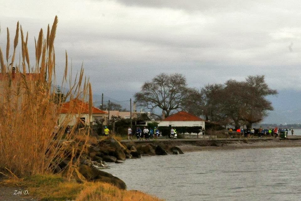 Φωτορεπορτάζ από τον 2ο αγώνα δρόμου υγείας και περιπάτου από τη Ναύπακτο στη Πάτρα - Φωτογραφία 14