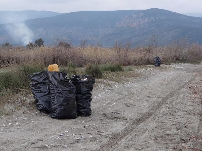 Απολογισμός του 1ου για φέτος καθαρισμού ακτής στον υγρότοπο Μουστού - Φωτογραφία 4