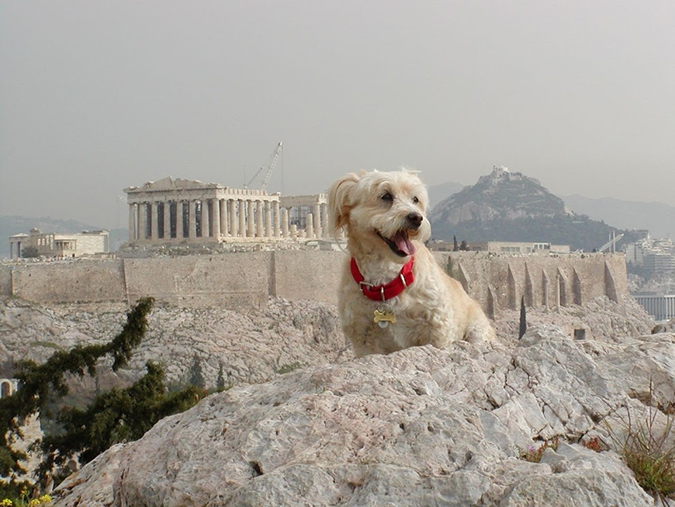 «30 φωτογραφίες που αναδεικνύουν τη γοητεία της Ελλάδας...!!! - Φωτογραφία 22