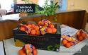 Έχτισαν με πορτοκάλια είσοδο τράπεζας στο Άργος οι αγρότες - Φωτογραφία 3