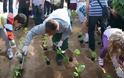 Τα λαχανικά του σχολικού τους κήπου προσέφεραν μαθητές στο Κοινωνικό Παντοπωλείο Δήμου Θηβαίων