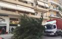 ΠΡΙΝ ΛΙΓΟ: Φορτηγό παρέσυρε δένδρο στη Ναύπακτο