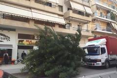 ΠΡΙΝ ΛΙΓΟ: Φορτηγό παρέσυρε δένδρο στη Ναύπακτο