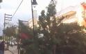 ΠΡΙΝ ΛΙΓΟ: Φορτηγό παρέσυρε δένδρο στη Ναύπακτο - Φωτογραφία 3