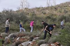 Αναβίωση δασικής έκτασης στην ενότητα Γλυκών Νερών