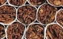 Συνελήφθησαν δυο αλλοδαποί λαθρέμποροι στο Λάππα Αχαΐας - Κατασχέθηκαν 27.200 τσιγάρα