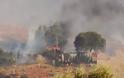 Νεκρά περισσότερα από 100 πρόβατα από φωτιά στο Καλονέρι Τρικάλων