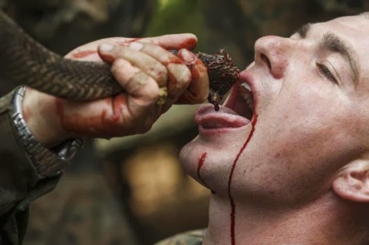 Πεζοναύτες πίνουν αίμα φιδιού σε άσκηση επιβίωσης! ΦΩΤΟ - Φωτογραφία 1