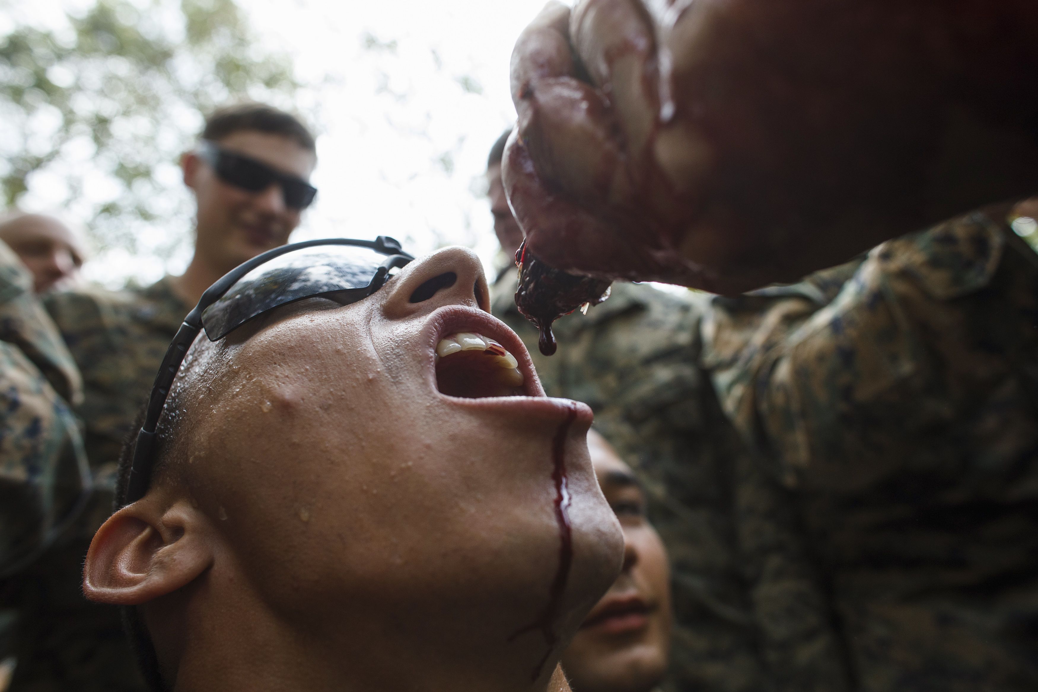 Πεζοναύτες πίνουν αίμα φιδιού σε άσκηση επιβίωσης! ΦΩΤΟ - Φωτογραφία 12