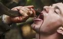 Πεζοναύτες πίνουν αίμα φιδιού σε άσκηση επιβίωσης! ΦΩΤΟ