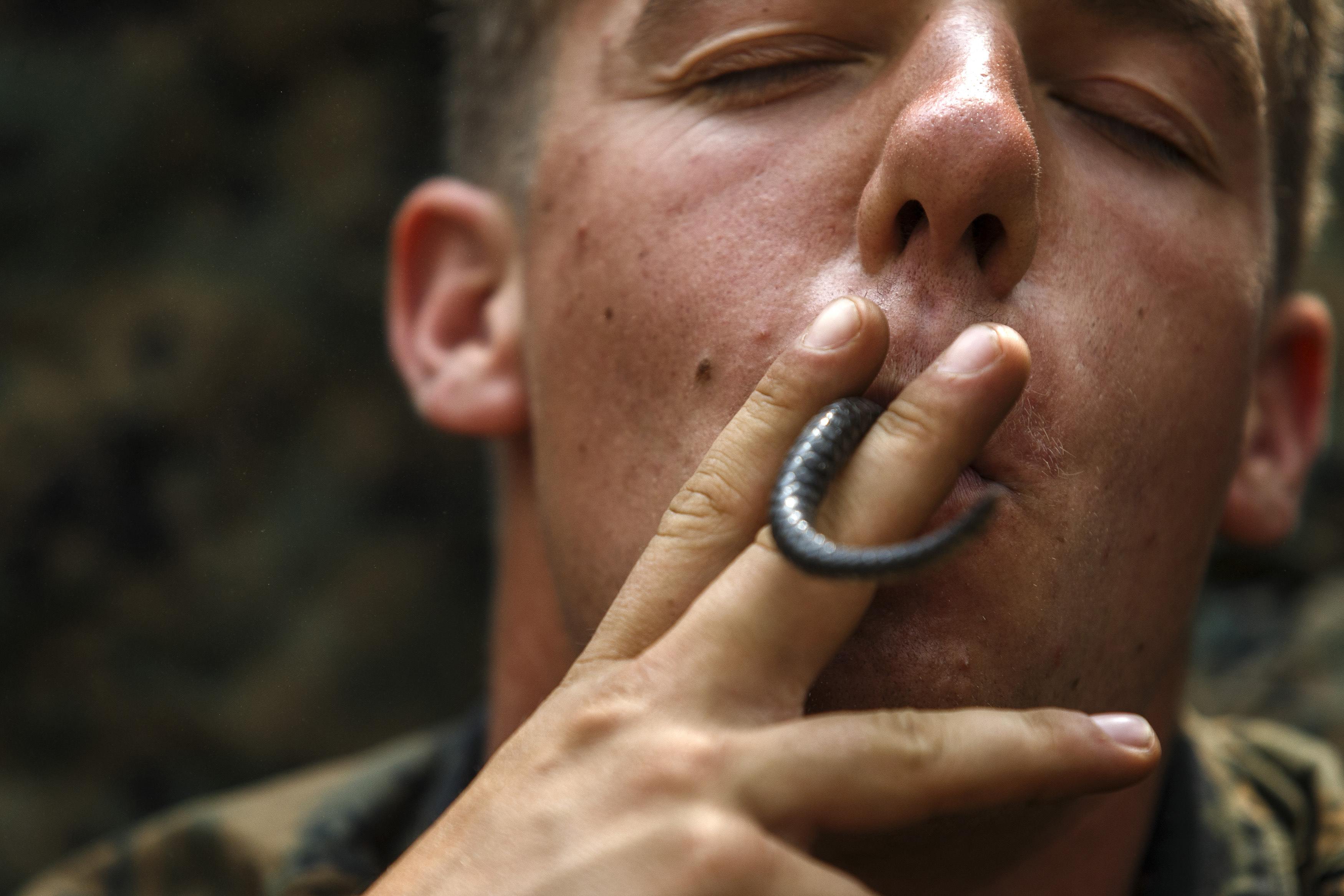 Σοκ: Αμερικανοί πεζοναύτες πίνουν αίμα φιδιού και τρώνε ερπετά σε άσκηση επιβίωσης [εικόνες] - Φωτογραφία 2
