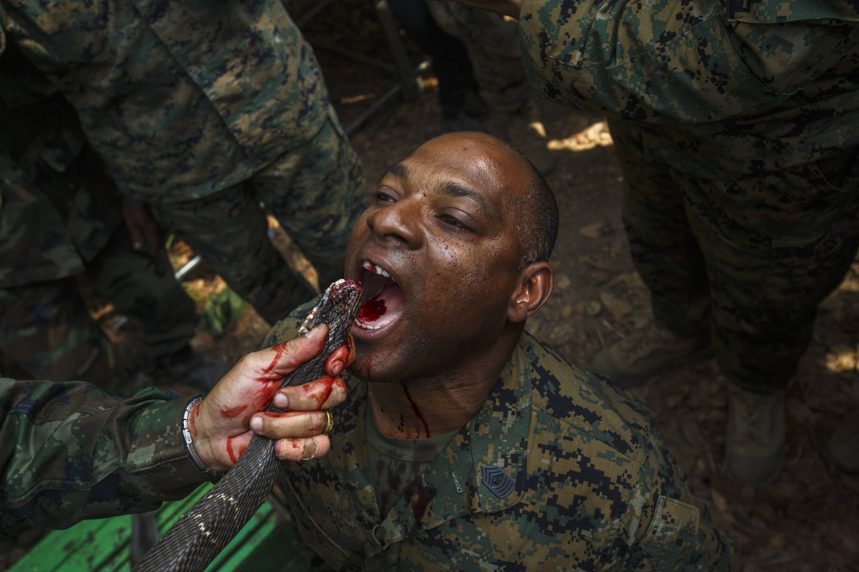 Σοκ: Αμερικανοί πεζοναύτες πίνουν αίμα φιδιού και τρώνε ερπετά σε άσκηση επιβίωσης [εικόνες] - Φωτογραφία 9