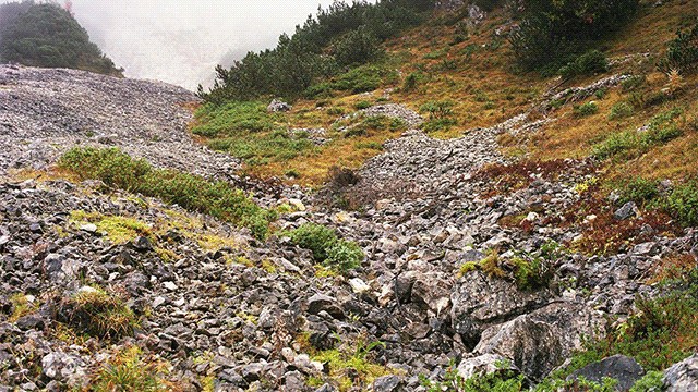 Διακρίνετε τους καμουφλαρισμένους ελεύθερους σκοπευτές; - Φωτογραφία 2