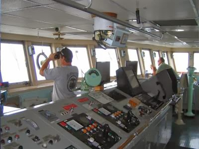 Πτυχιούχοι ΑΕΙ στρέφονται στο ναυτικό επάγγελμα - Φωτογραφία 1