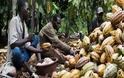 Οι σκλάβοι της σοκολάτας στην Αφρική: Η πικρή αλήθεια πίσω από το αγαπημένο μας γλύκισμα