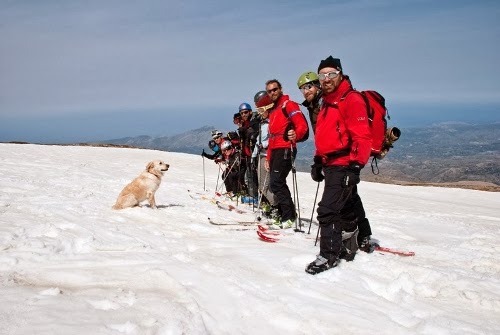 Για πρώτη φορά αγώνες ορειβατικού σκι στην Κρήτη - Φωτογραφία 4