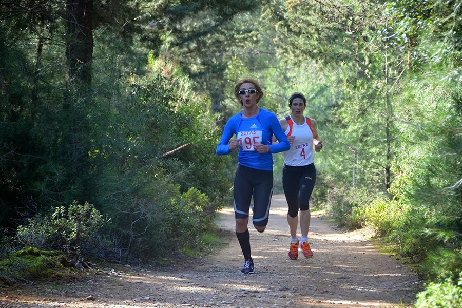 Day-Run Έτους 2014 - Φωτογραφία 11