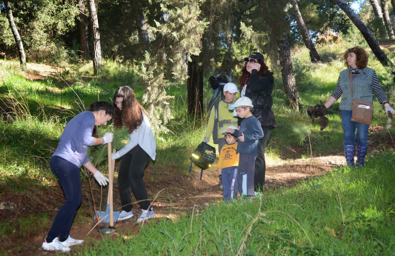 Πάτρα: Δενδροφύτευση στον λόφο του Γηροκομείου - Φωτογραφία 1