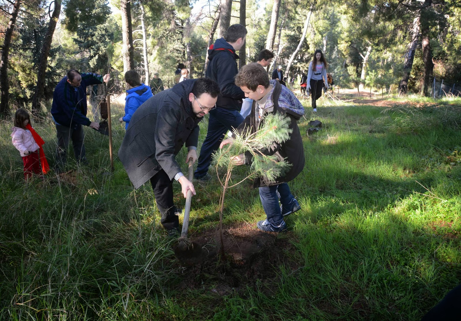 Πάτρα: Δενδροφύτευση στον λόφο του Γηροκομείου - Φωτογραφία 6