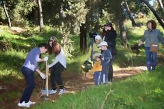 Πάτρα: Δενδροφύτευση στον λόφο του Γηροκομείου