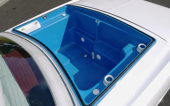 Κάντιλακ με τζακούζι και μπάρμπεκιου βγαίνει σε δημοπρασία  [photos] - Φωτογραφία 4