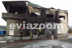 Εύβοια: Οι κόποι μιας ολόκληρης ζωής έγιναν στάχτη μέσα σε λίγα λεπτά! [Photos - Video]