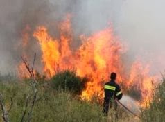 Πυρκαγιά σε δύσβατη ορεινή περιοχή στα Στουρναραίϊκα Τρικάλων - Φωτογραφία 1