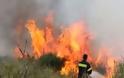 Πυρκαγιά σε δύσβατη ορεινή περιοχή στα Στουρναραίϊκα Τρικάλων