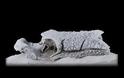 Ψάρι 400 εκατ. ετών αποκαλύπτει πως δημιουργήθηκε το πρόσωπο